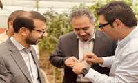 شتاب در توسعه کنترل بیولوژیک در گلخانه‌ها؛ حذف کامل سموم شیمیایی و جهش بهره‌وری تولید